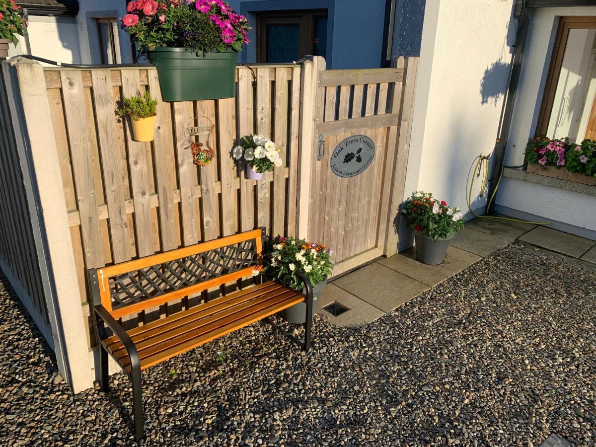 Ferienwohnung Oak Trees Corner stylish , relaxing , getaway Wicklow Exterior foto