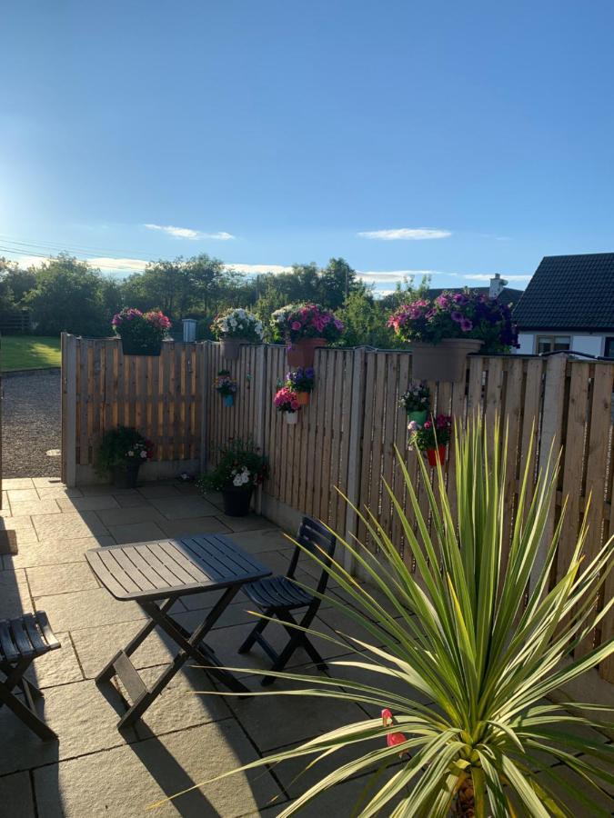 Ferienwohnung Oak Trees Corner stylish , relaxing , getaway Wicklow Exterior foto